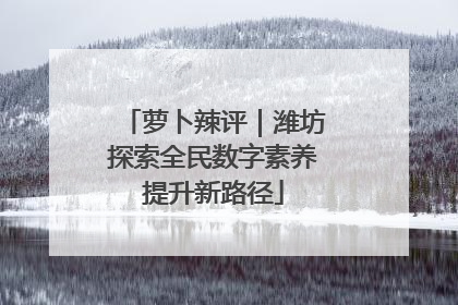 萝卜辣评｜潍坊探索全民数字素养提升新路径
