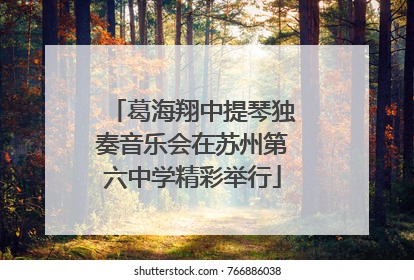 葛海翔中提琴独奏音乐会在苏州第六中学精彩举行