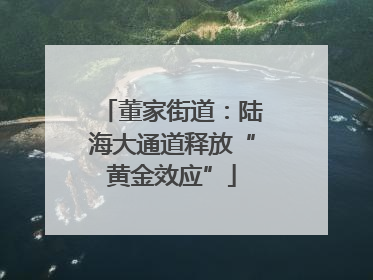 董家街道：陆海大通道释放“黄金效应”