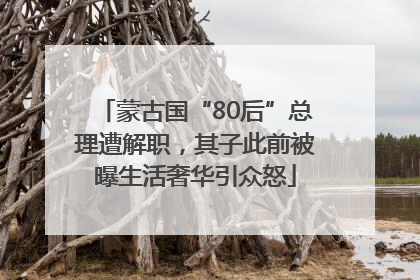 蒙古国“80后”总理遭解职，其子此前被曝生活奢华引众怒