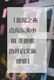 蓝莓之夜点亮东夷小镇 非遗雅韵开启文旅盛宴