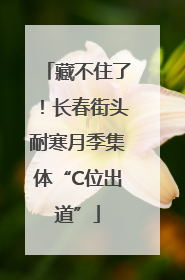 藏不住了！长春街头耐寒月季集体“C位出道”