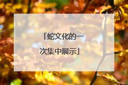 蛇文化的一次集中展示