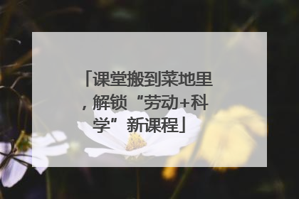课堂搬到菜地里，解锁“劳动+科学”新课程