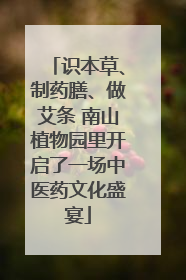 识本草、制药膳、做艾条 南山植物园里开启了一场中医药文化盛宴
