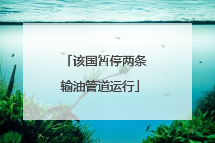 该国暂停两条输油管道运行