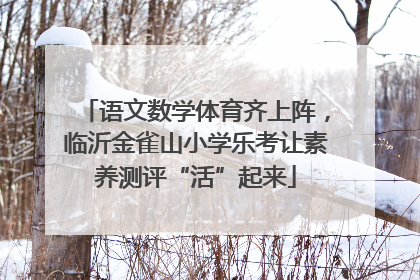语文数学体育齐上阵，临沂金雀山小学乐考让素养测评“活”起来