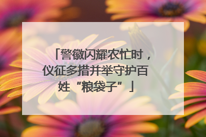 警徽闪耀农忙时，仪征多措并举守护百姓“粮袋子”
