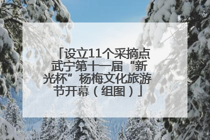 设立11个采摘点 武宁第十一届“新光杯”杨梅文化旅游节开幕（组图）