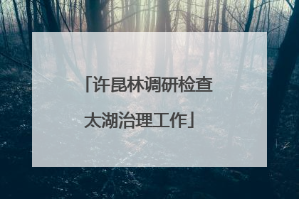 许昆林调研检查太湖治理工作