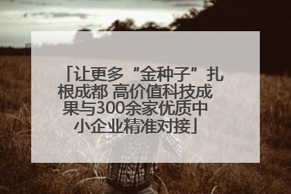 让更多“金种子”扎根成都 高价值科技成果与300余家优质中小企业精准对接