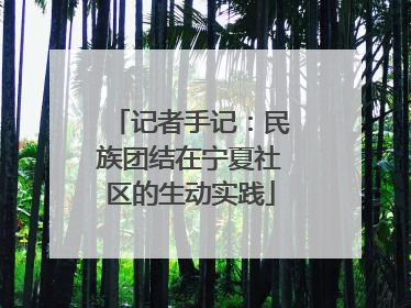 记者手记：民族团结在宁夏社区的生动实践