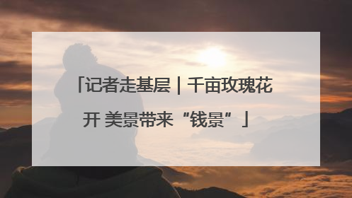 记者走基层｜千亩玫瑰花开 美景带来“钱景”
