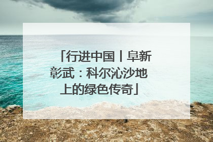 行进中国丨阜新彰武：科尔沁沙地上的绿色传奇