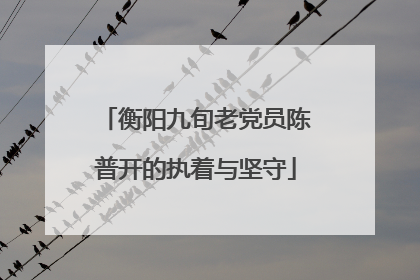 衡阳九旬老党员陈普开的执着与坚守