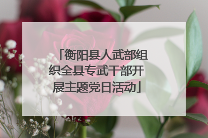 衡阳县人武部组织全县专武干部开展主题党日活动
