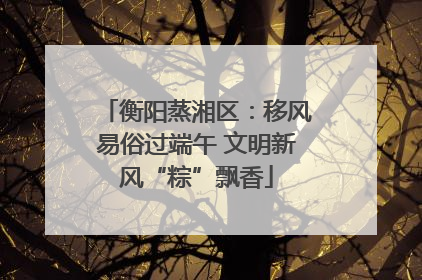 衡阳蒸湘区：移风易俗过端午 文明新风“粽”飘香
