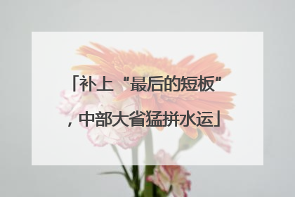 补上“最后的短板”，中部大省猛拼水运