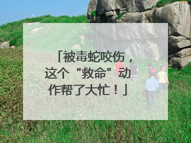 被毒蛇咬伤，这个“救命”动作帮了大忙！