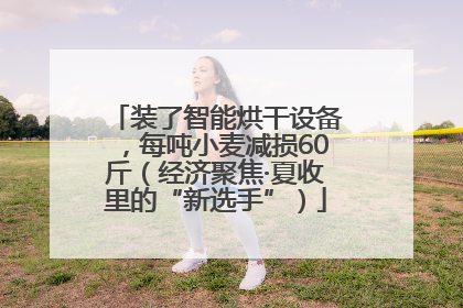 装了智能烘干设备，每吨小麦减损60斤（经济聚焦·夏收里的“新选手”）