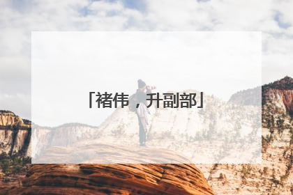 褚伟，升副部