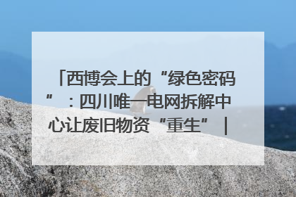 西博会上的“绿色密码”：四川唯一电网拆解中心让废旧物资“重生”｜西博寻“新”记