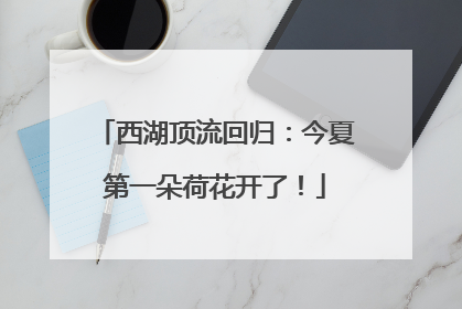 西湖顶流回归：今夏第一朵荷花开了！