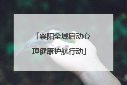 襄阳全域启动心理健康护航行动