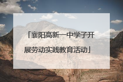 襄阳高新一中学子开展劳动实践教育活动