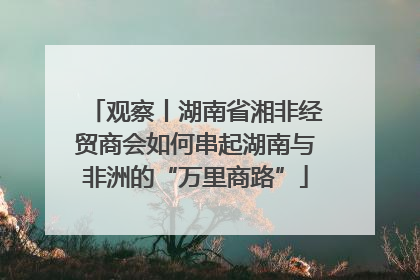 观察丨湖南省湘非经贸商会如何串起湖南与非洲的“万里商路”