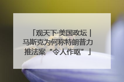 观天下·美国政坛｜马斯克为何称特朗普力推法案“令人作呕”