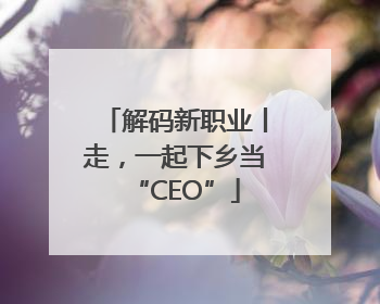 解码新职业丨走，一起下乡当“CEO”