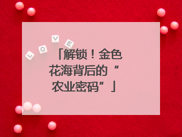 解锁！金色花海背后的“农业密码”