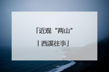 近观“两山”丨西溪往事