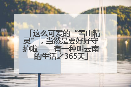 这么可爱的“雪山精灵”，当然是要好好守护啦——有一种叫云南的生活之365天