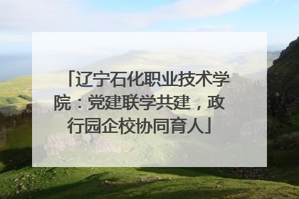 辽宁石化职业技术学院：党建联学共建，政行园企校协同育人