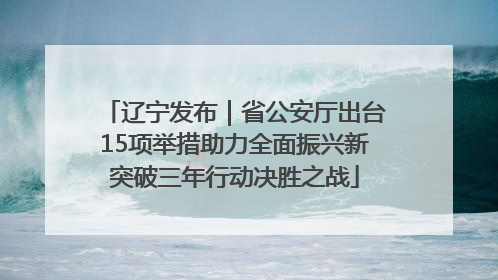 辽宁发布｜省公安厅出台15项举措助力全面振兴新突破三年行动决胜之战