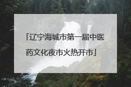 辽宁海城市第一届中医药文化夜市火热开市
