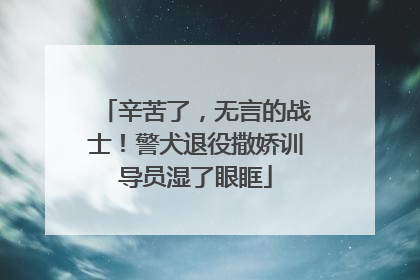 辛苦了，无言的战士！警犬退役撒娇训导员湿了眼眶