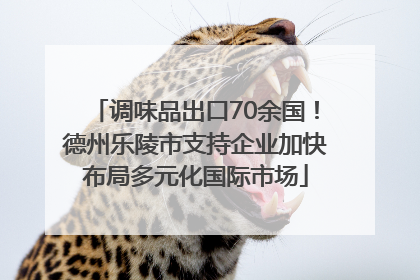 调味品出口70余国！德州乐陵市支持企业加快布局多元化国际市场