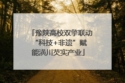 豫陕高校双擎联动 “科技+非遗”赋能潢川芡实产业