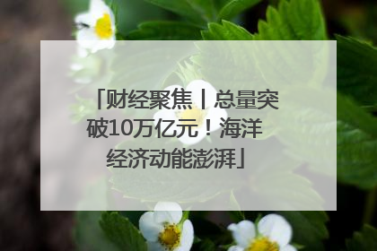 财经聚焦丨总量突破10万亿元！海洋经济动能澎湃