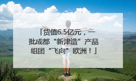 货值6.5亿元，一批成都“新津造”产品组团“飞向”欧洲！