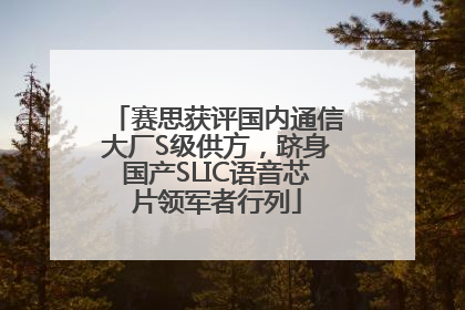 赛思获评国内通信大厂S级供方，跻身国产SLIC语音芯片领军者行列