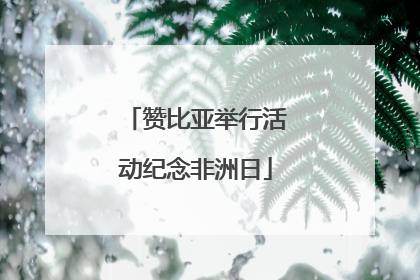赞比亚举行活动纪念非洲日