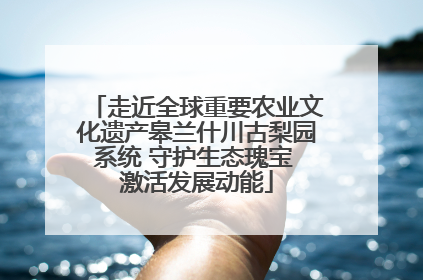 走近全球重要农业文化遗产皋兰什川古梨园系统 守护生态瑰宝 激活发展动能
