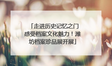 走进历史记忆之门 感受档案文化魅力！潍坊档案珍品展开展