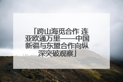 跨山海觅合作 连亚欧通万里——中国新疆与东盟合作向纵深突破观察