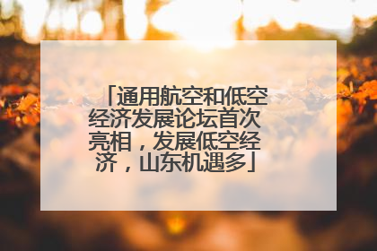 通用航空和低空经济发展论坛首次亮相，发展低空经济，山东机遇多