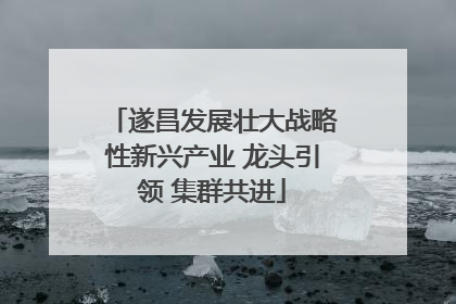 遂昌发展壮大战略性新兴产业 龙头引领 集群共进